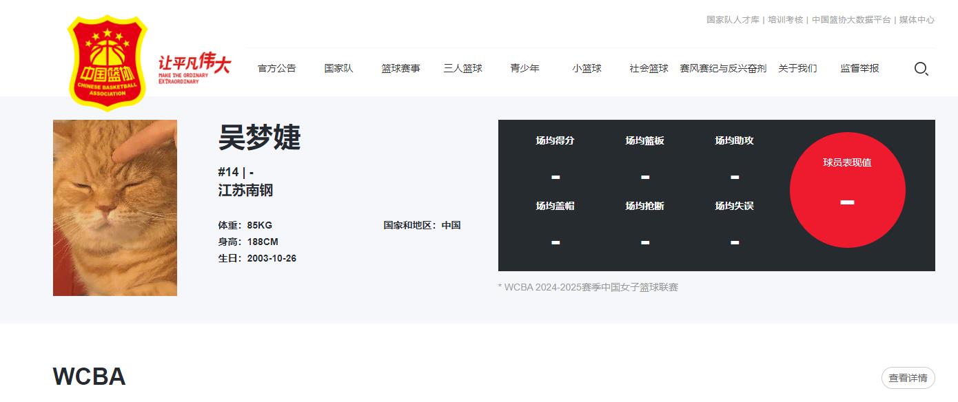 搞错啦？WCBA球员官网头像变成一只猫